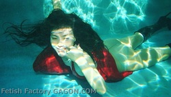 Under Water Life Scene011(HDV)