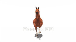 Image CG horses Horse