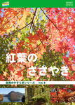 [HD] Nature&#39;s Peace Series 8 Whispering Autumn Leaves