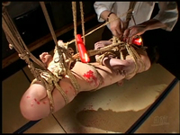 [视频] 艺术秘密画报鲤鱼绳酷刑绳索 # 12 平松果酱和部分 