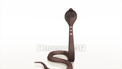 Image CG snake Snake